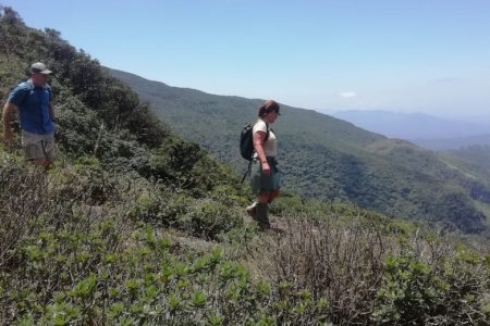 Knuckles Mountain Range Hiking